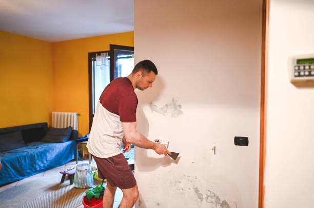 Best Best Mold Removal Companies  in Rainbow Springs, FL